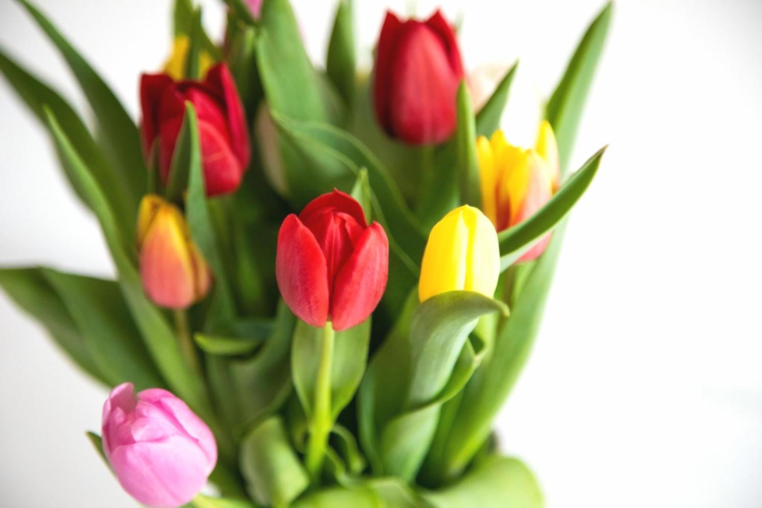 Luxury wedding ceremony decoration with elegant floral arrangements and sophisticated lighting